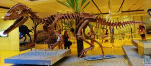 중국에서 발견된 Sinosaurus sinensis의 재구성된 골격. 원래는 딜로포사우루스의 한 종으로 기술되었다. Museo delle Scienze