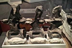 홀로타입의 등뼈. 아래쪽 측면에 있는 구멍은 측면공동이며, 이를 통해 기낭이 뼈로 침투하여 내부의 기포와 연결되었다.