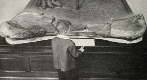 어린이와 Potter Creek 상완골, 1959