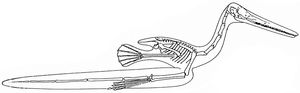 바글러가 1830년에 복원한 수생 Pterodactylus