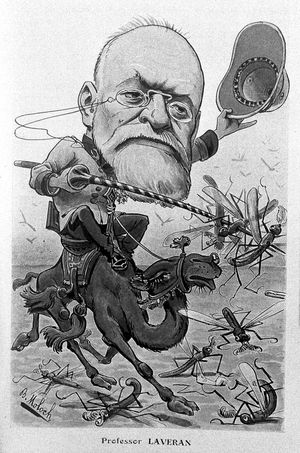 라베랑이 곤충을 처치하는 만화