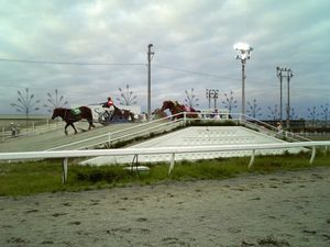 오비히로 경마장에서의 반에이 경주마