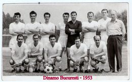 디나모 부쿠레슈티, 1953년 리그 준우승