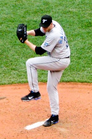 할러데이의 투구 폼