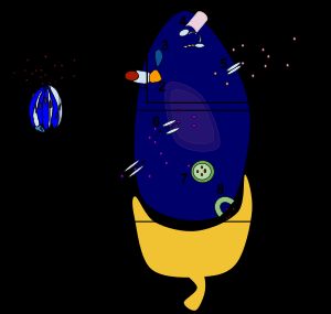 쓴맛의 신호 전달 경로