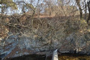 신녕 단층 SN-2 노두