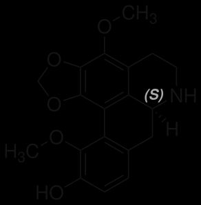 헤르난딘, Hernandia에서 추출한 아포르핀 알칼로이드