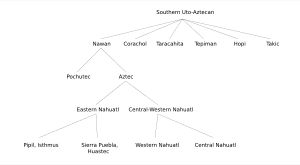 테렌스 카우프만의 나와어와 우토아즈텍어족 내 다른 언어 간의 관계도