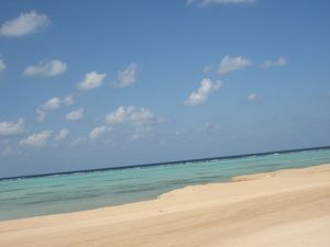 얀부의 청록색 바다가 있는 홍해 해변