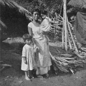 "메스키티틀란의 삼바"