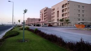 메사이미르의 바르와 시티.