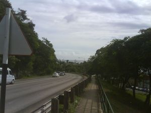 유니버시티 드라이브