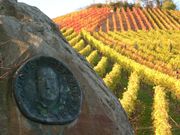 포도밭에 있는 아우구스트 헤롤트 기념 명판