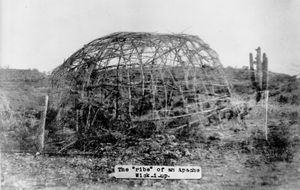 아파치족 위키업의 뼈대