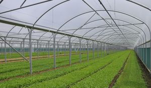 다중 경간 비닐하우스 - 이브샴