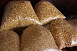 산토리니 파바 자루