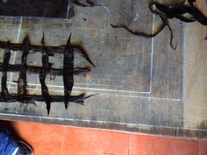 젖은 수피 섬유를 손으로 격자형으로 놓은 모습 (평평하게 만들기 전, 멕시코 푸에블라 주 산 파블리토)