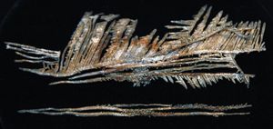 멕시코는 세계 최대의 은 생산국이다.