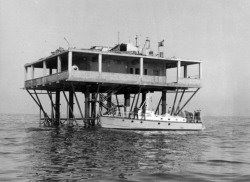 파괴되기 전의 장미섬 공화국