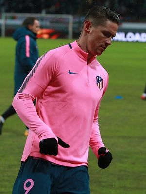 페르난도 토레스는 아틀레티코에서 선수 경력을 시작하여 스페인 국가대표팀에서 주목할 만한 성공을 거두었다.