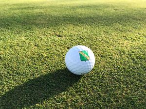 개인화된 골프공