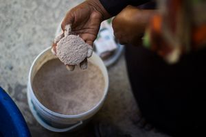 해초로 만든 비누