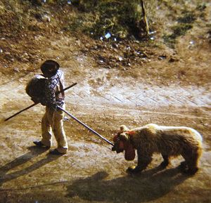 롬인과 곰 (베오그라드, 바노보 브르도, 1980년대)