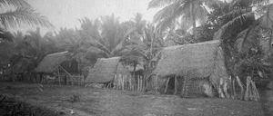 1899년 또는 1900년 타무닝 근처의 캐롤라인 원주민들의 집