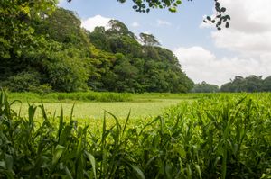 우팅가 주립 공원.