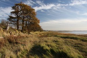 오웰 강의 강둑