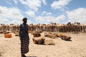 소말리아 남자가 마카위스 사롱을 입고 있다.