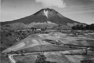 1940년대의 시나붕산