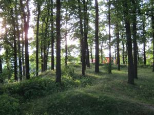 볼레스와비에츠의 옛 중세 요새