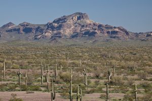 피닉스를 둘러싼 소노란 사막