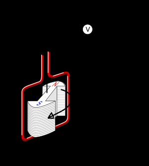 회전하는 자기 코어(회전자)와 고정된 전선(고정자)을 가진 단순한 교류 발전기의 그림. 회전자의 회전 자기장에 의해 고정자에 유도된 전류를 보여준다.