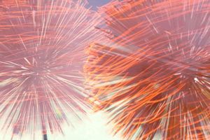 타이항 불 용춤 공연, 타이항, 코즈웨이 베이