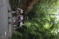 교토 아라시야마 대나무 숲길을 걷는 기모노 차림의 여성.