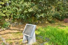 니조 고성 석벽(교토 교엔 내)