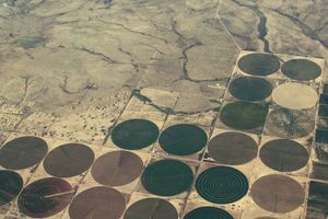 미국 농지. 둥근 들판은 중앙 피벗 관개 때문이다.