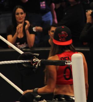 관중석에서 브리(WWE에서 각본상 은퇴)는 2014년 7월 4 대 1 핸디캡 매치에 참가할 예정인 니키를 지켜본다.