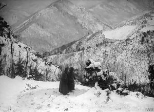 페타르 1세는 대후퇴 중이었다