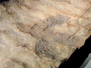 독일에서 할당된 트랙