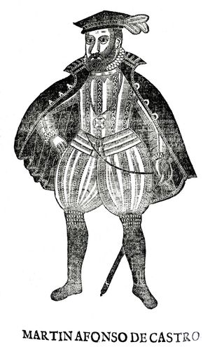 마르팀 아폰수 드 카스트루