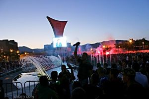 2014년 FIFA 월드컵 알제리 국가대표팀 팬들