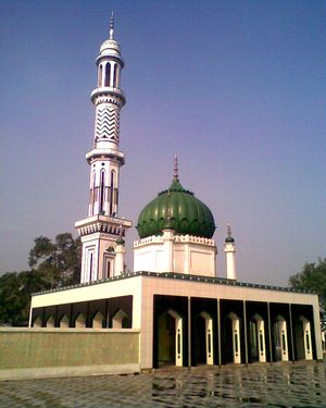 알로 마하르 샤리프(Allo Mahar Sharif, Sialkot)의 나크쉬반디 성인 묘소