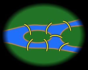 쾨니히스베르크 다리 문제의 그래프 표현