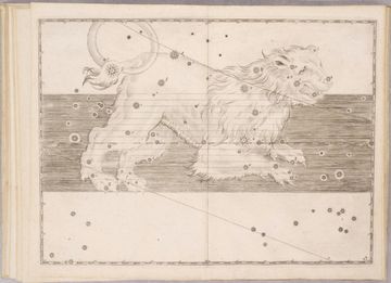 17세기에 독일의 법학자 요한 바이어가 간행한 성도 『우라노메트리아』에 그려진 사자자리.