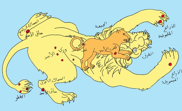 아라비아에 전해지는 신구 사자자리의 별자리 그림. 노란색으로 칠해진 큰 사자가 바빌로니아 유래의 거대한 사자자리이고, 주황색으로 칠해진 작은 사자가 고대 그리스를 거쳐 전해진 사자자리이다. 큰 사자의 왼쪽 앞발의 2개 별은 쌍둥이자리 카스토르와 폴룩스, 오른쪽 앞발의 별은 프로키온, 왼쪽 뒷발의 별은 아르크투루스, 오른쪽 뒷발의 별은 스피카이다。