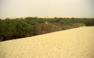 공원의 모래 언덕