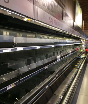 2018년 미국 살모넬라균 발생 당시 비어있는 식료품점 선반의 모습. 이러한 조치는 잠재적으로 오염된 농산물의 판매를 막기 위해 이루어졌다.